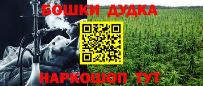 Альфа ПВП Будённовск