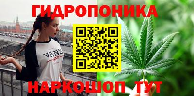 Альфа ПВП Будённовск